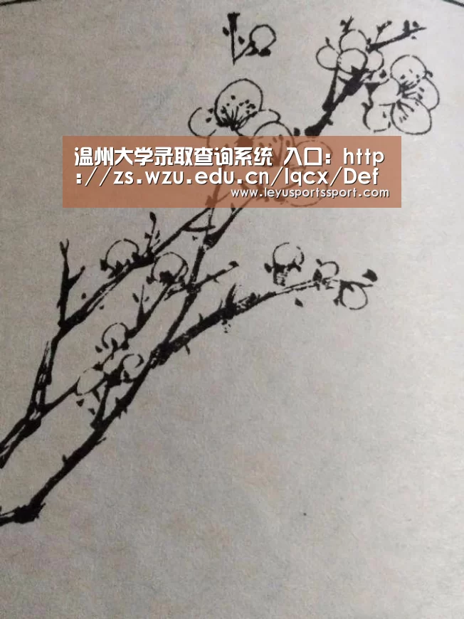 温州大学录取查询系统 入口:http://zs.wzu.edu.cn/lqcx/Default.aspx‘乐鱼娱乐’(图4) 乐鱼体育官方网站