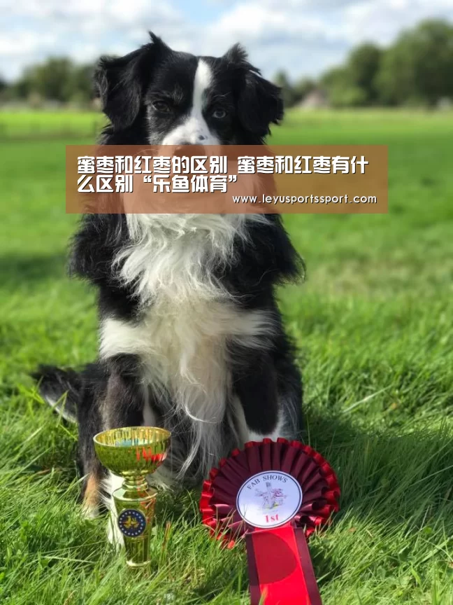 蜜枣和红枣的区别 蜜枣和红枣有什么区别“乐鱼体育”(图2) 蜜枣和红枣的区别 蜜枣和红枣有什么区别“乐鱼体育”(图2)